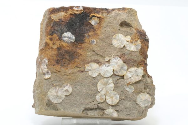 Wavellite
