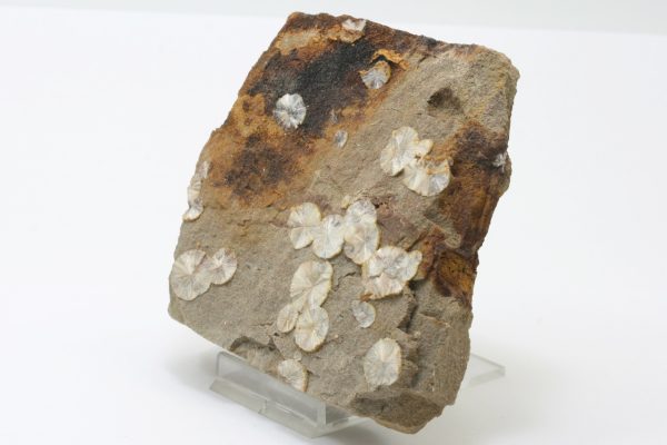 Wavellite - Image 3