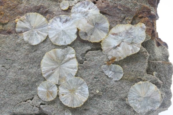 Wavellite - Image 4