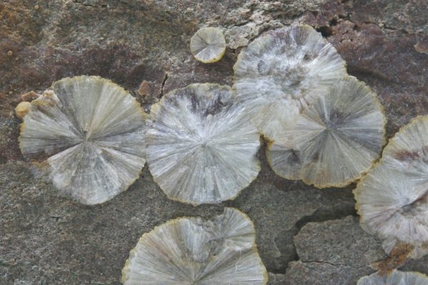 Wavellite - Image 6