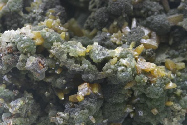 Mimetite, wulfenite