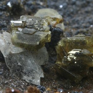 Adamite