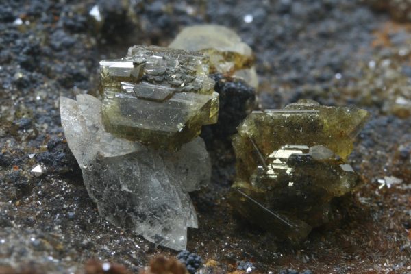 Adamite