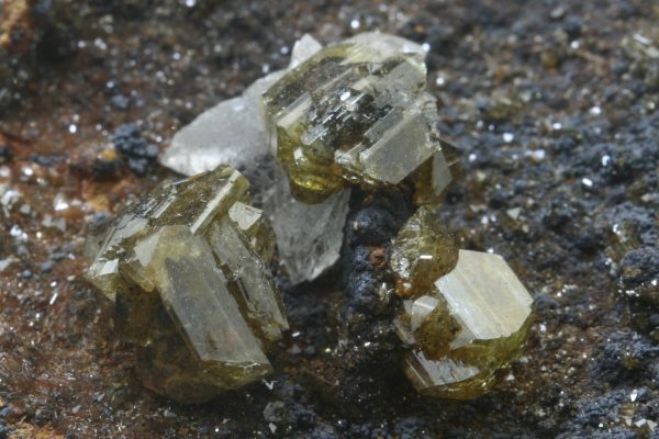 Adamite - Image 8
