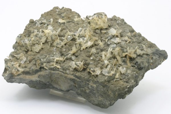 Baryte, pyrite - Image 3