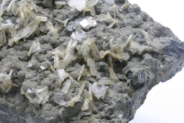 Baryte, pyrite - Image 6