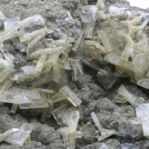 Baryte, pyrite