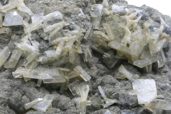 Baryte, pyrite
