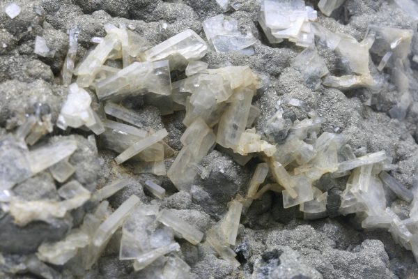 Baryte, pyrite - Image 8
