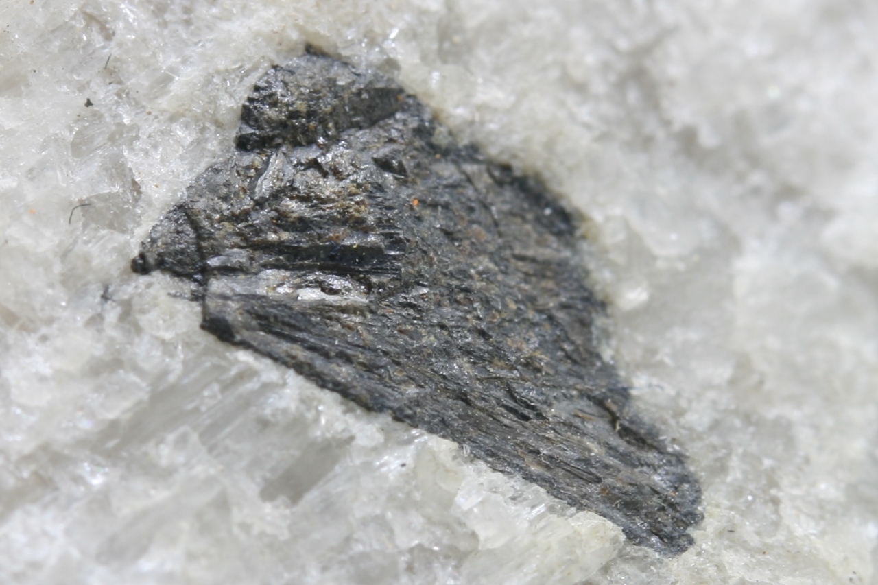 Wodginite, spodumene