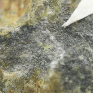 Paratellurite, mackayite