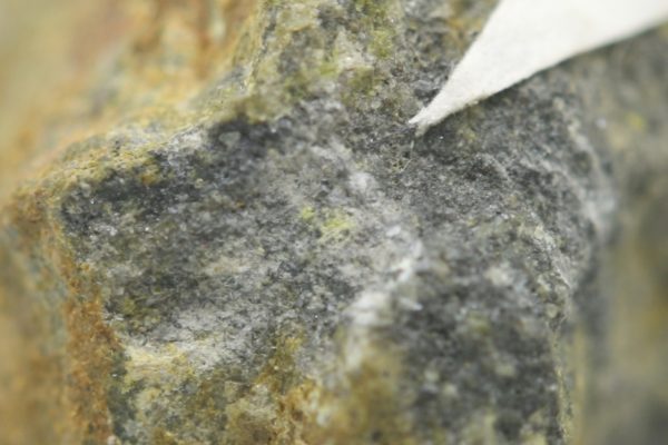 Paratellurite, mackayite