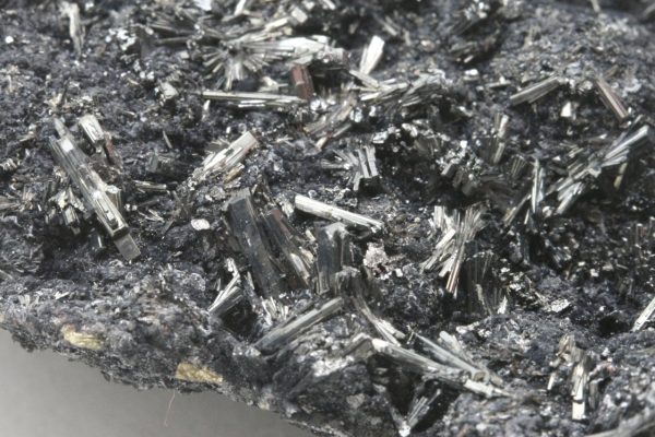 Hutchinsonite - Image 6