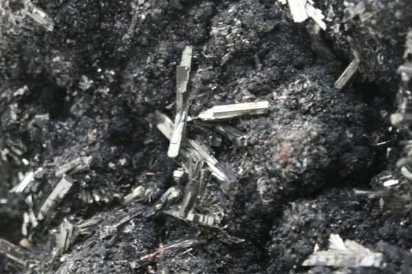 Hutchinsonite - Image 11