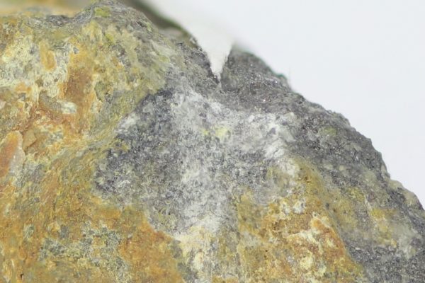 Paratellurite, mackayite - Image 5