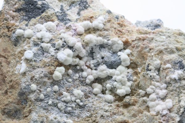 Picropharmacolite