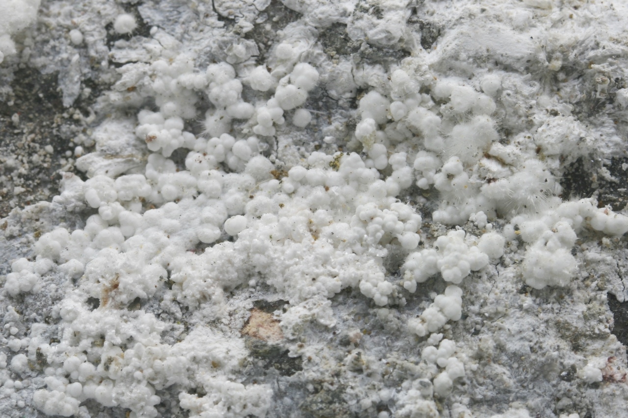 Picropharmacolite, brassite