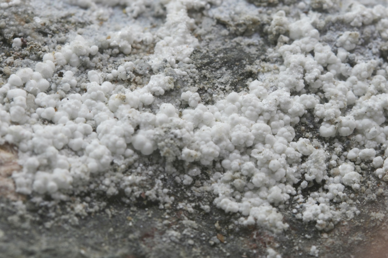 Picropharmacolite, brassite - Image 8