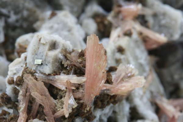 Inesite, hubeite, dolomite - Image 14
