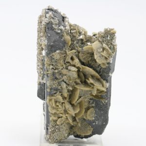 Wolframite, siderite