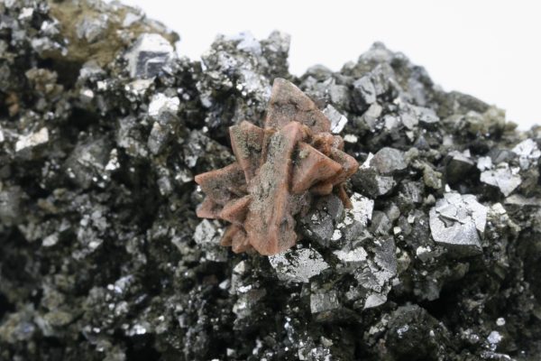 Helvine, arsenopyrite - Image 7