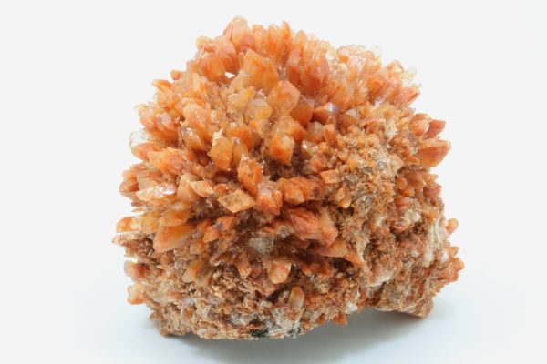 Creedite - Image 8
