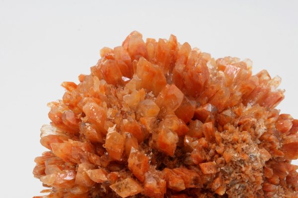 Creedite - Image 9