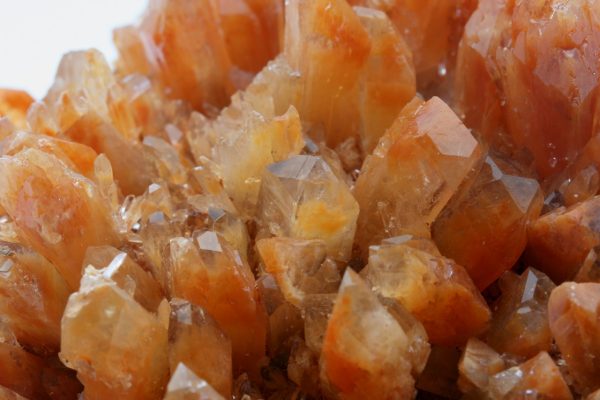 Creedite - Image 11