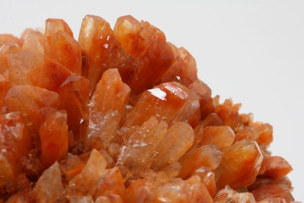 Creedite - Image 12