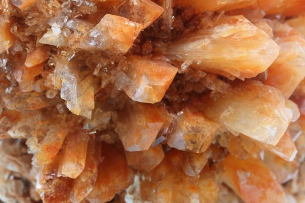 Creedite - Image 13
