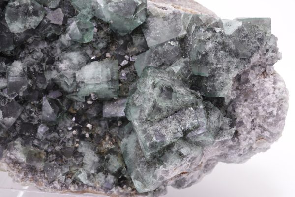 Fluorite - Image 6