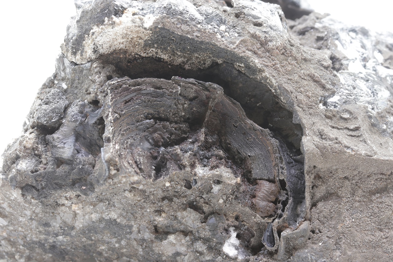 Pyrolusite, quartz - Image 7