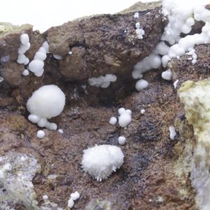 Picropharmacolite