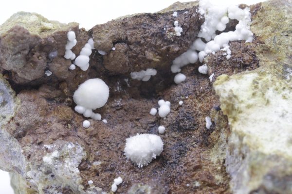 Picropharmacolite