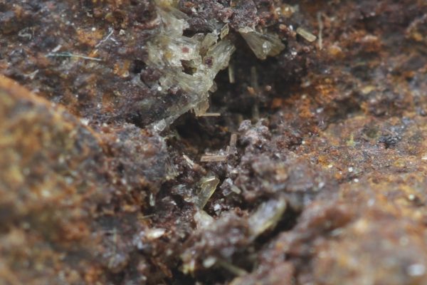 Beraunite - Image 6