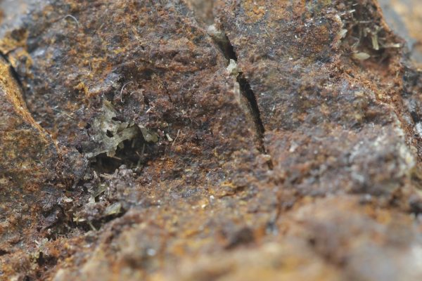 Beraunite - Image 7