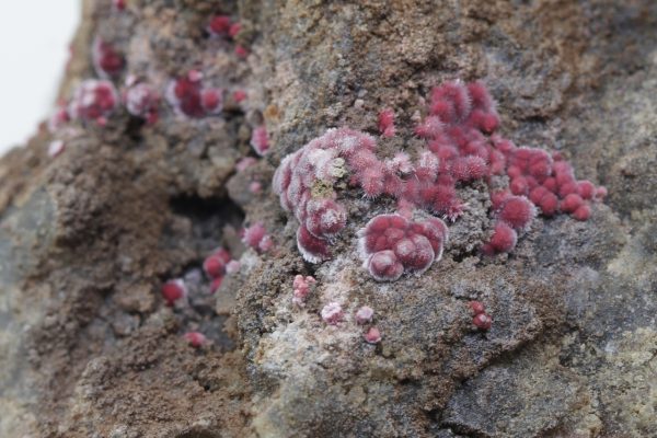 Köttigite - Image 7