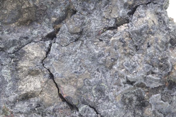 Nickeline - Image 9