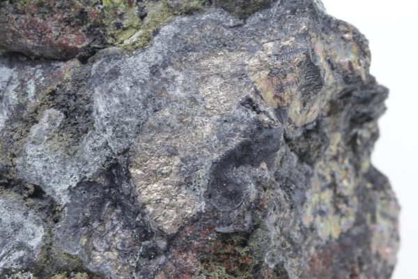 Nickeline - Image 12