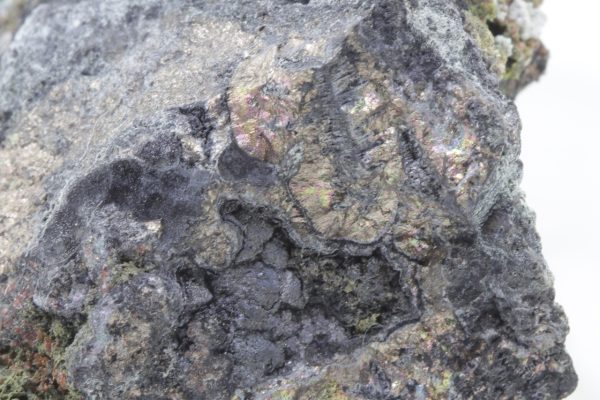 Nickeline - Image 14