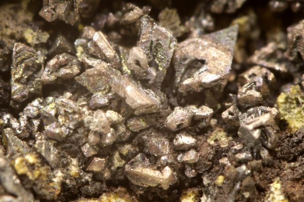Bismuth