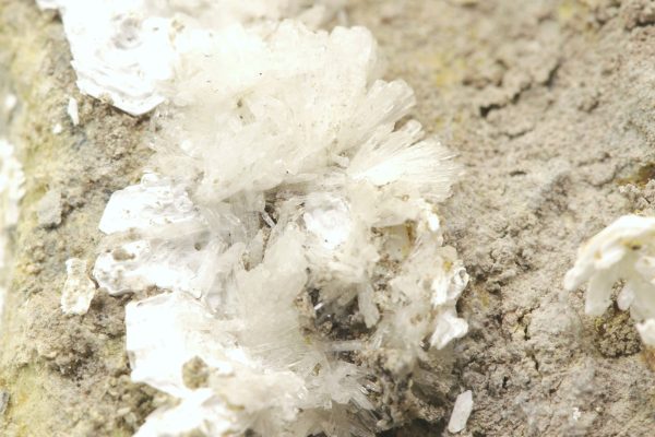 Pharmacosiderite, brassite - Image 5