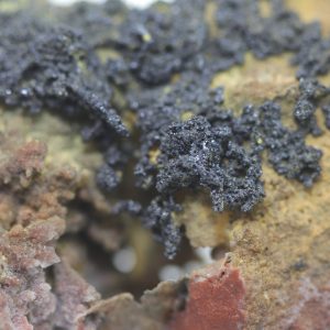 Proustite, acanthite