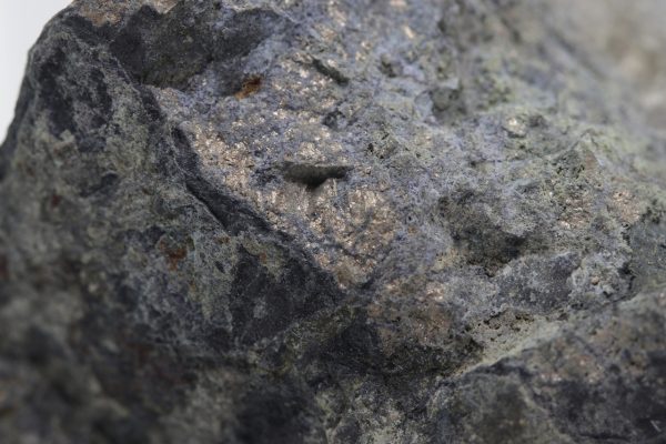 Nickeline - Image 6