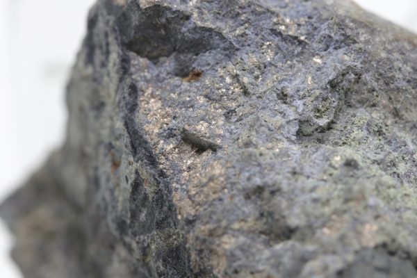 Nickeline - Image 12