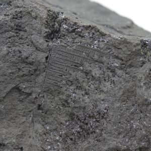 Silver, arsenic, proustite