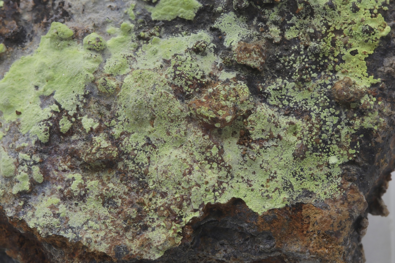 Čejkaite - Image 15