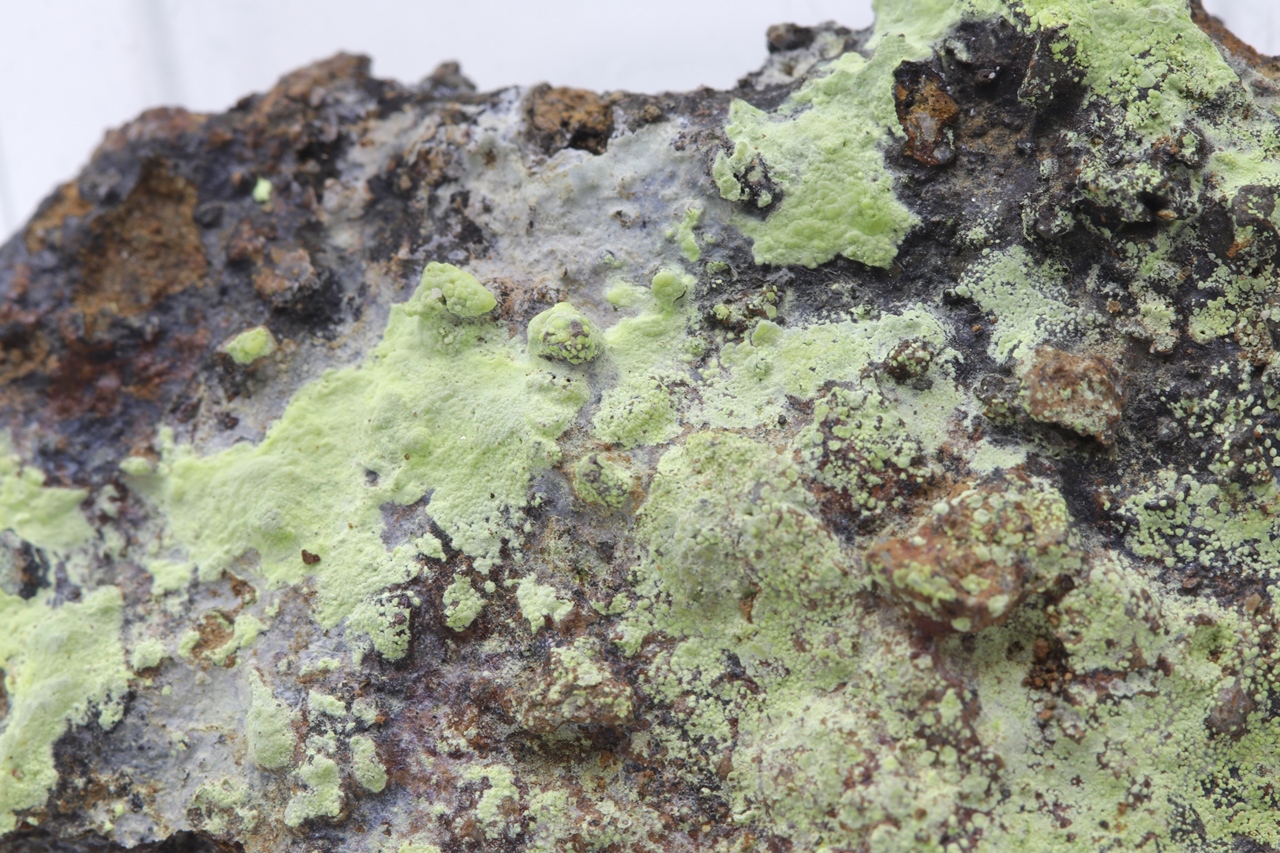 Čejkaite - Image 16