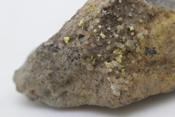 Rabbittite - Image 7