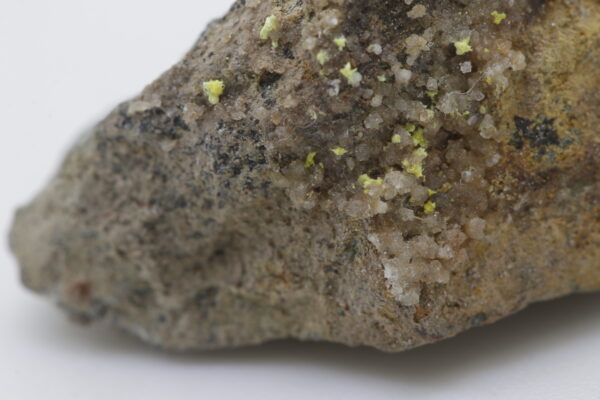 Rabbittite - Image 8